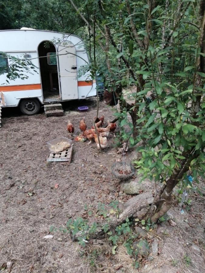 Les Roches Chambre D'Hotes Servant Exteriér fotografie